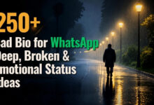 250+ Sad Bio for WhatsApp _ Deep, Broken & Emotional Status Ideas 2026