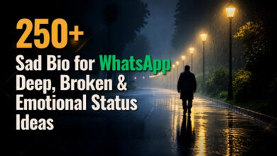 250+ Sad Bio for WhatsApp _ Deep, Broken & Emotional Status Ideas 2026