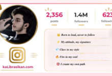 Best Instagram Bio for Boys_ Stylish, Attitude & VIP Bio Ideas