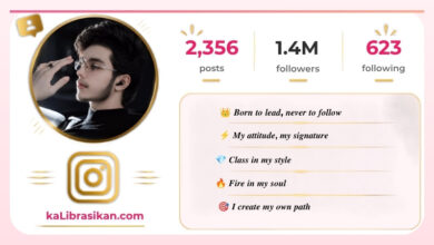 Best Instagram Bio for Boys_ Stylish, Attitude & VIP Bio Ideas