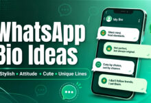 WhatsApp Bio Ideas_ Stylish, Attitude, Cute and Unique Lines