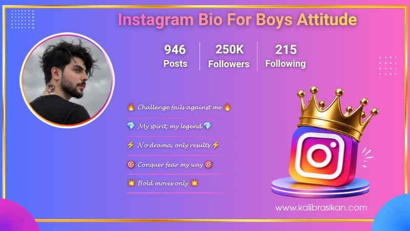 Instagram Bio For Boys Attitude​