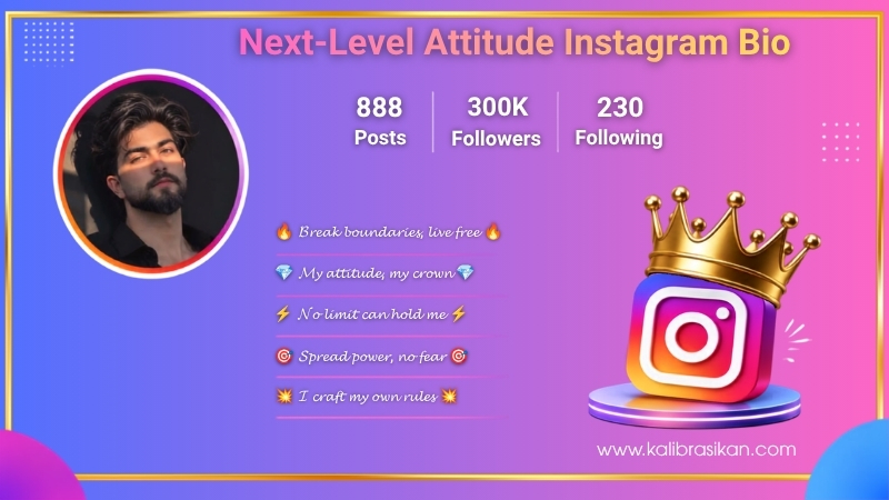 Next-Level Attitude Instagram Bio