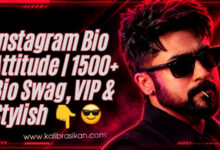 instagram-bio-attitude
