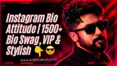 instagram-bio-attitude