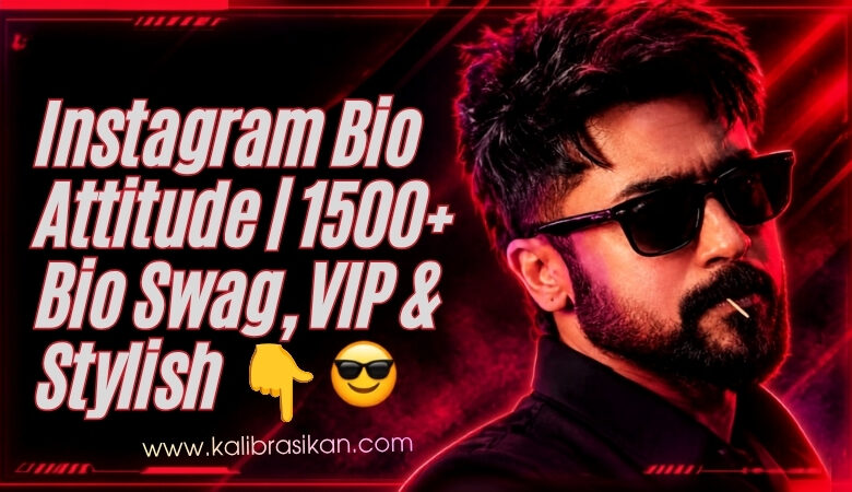 instagram-bio-attitude